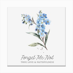 Forget Me Not Canvas Print