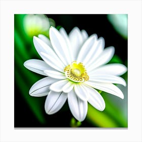 White flower fresh  Canvas Print