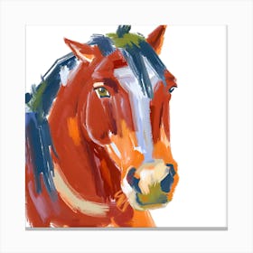 Clydesdale Horse 04 Canvas Print