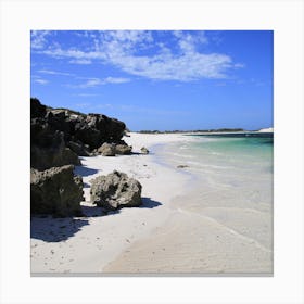 Sandy Cape white beach Canvas Print
