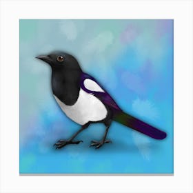 Magpie digital illustration Canvas Print