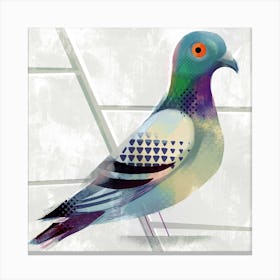 Pigeon Square Canvas Print