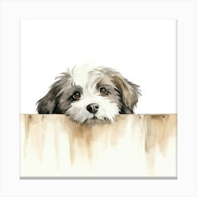 Tibetan Terrier Dog 1 Canvas Print