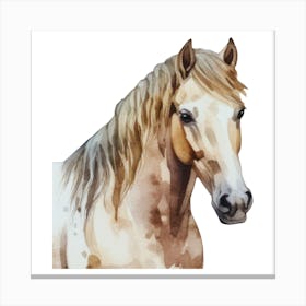 Horse Watercolor.uk Canvas Print