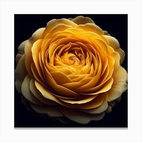 Yellow Rose Canvas Print