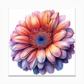 Gerbera Toile