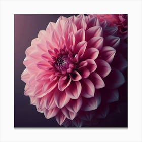 Large pink Dahlia flower 4 Canvas Print