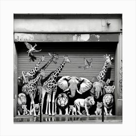 Zoo Animals Canvas Print