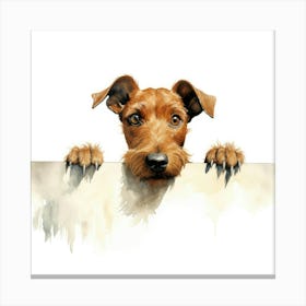 Irish Terrier 8 Canvas Print