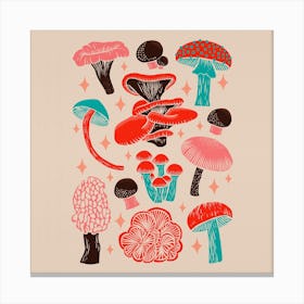 Texas Mushrooms   Red Pink And Turquoise Square Canvas Print