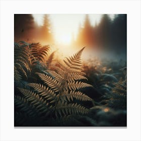 Ferns In The Forest 2 Canvas Print