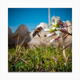 Bee On Flower Canvas Print