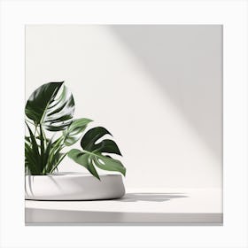 White & Monstera Product background 2 Canvas Print