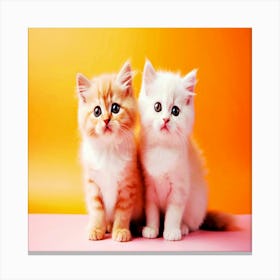 View of adorable kittens,Cute Kittens Canvas Print