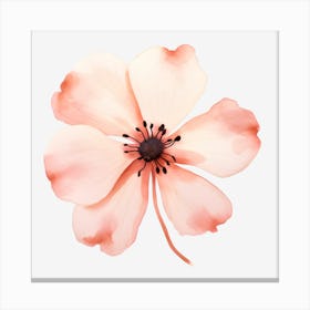 Pink Flower Canvas Print