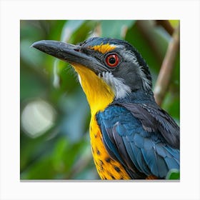 Kingfisher Bird 3 Canvas Print