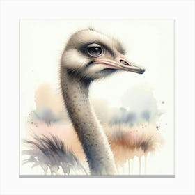 Ostrich Canvas Print