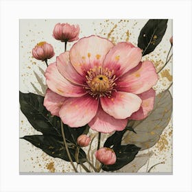 Pink Peony Canvas Print