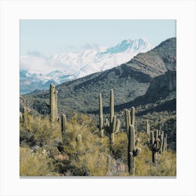 Snowy Desert Mountains Canvas Print