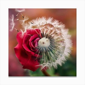 Dandelion Canvas Print