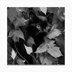 Black and White Black Cat In Leaves 4 Canvas Print
