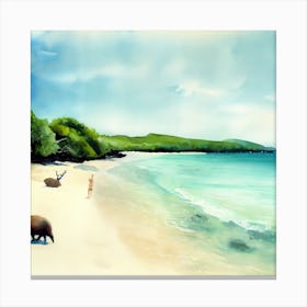 Galapagos Islands, Beach 1 Canvas Print