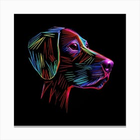 Rainbow Dog 7 Canvas Print