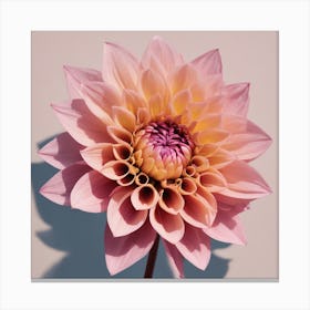 "Blooming Brilliance" is a photographic masterpiece showcasing the exquisite detail and delicate gradients of a dahlia in bloom. The soft pastel pinks and warm peach tones of the petals converge to create a soothing yet vibrant spectacle, celebrating the natural perfection of floral forms. This artwork captures the essence of spring and rebirth, making it an ideal decor choice for those seeking to bring the serenity and beauty of nature into their home or office. With its lifelike clarity and captivating color palette, "Blooming Brilliance" is a testament to the splendor of nature's artistry, perfect for flower enthusiasts and art collectors alike. Canvas Print