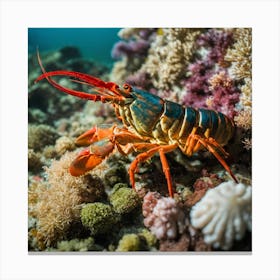 Lobster On Coral Reef 1 Canvas Print