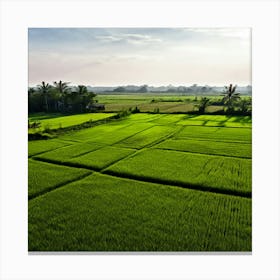 Grow Plant Green Background Field Aerial Landscape Pattern Agriculture Grass Harvesting C (2) Canvas Print