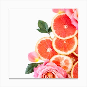 Pink Grapefruits And Roses Canvas Print