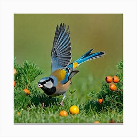 Blue Tit 12 Canvas Print