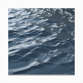 Water Ripples 25 Canvas Print