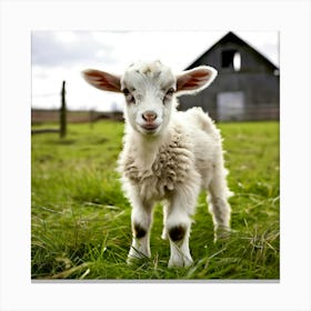 Grass Rural Green Goat Farm White Nature Field Mammal Milk Farming Farm Animal Domestic Canvas Print