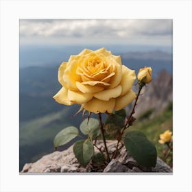 Yellow Rose On A Rock Canvas Print