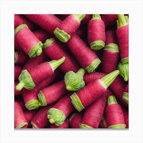 Radishes 72 Canvas Print