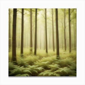 Foggy Forest 9 Canvas Print