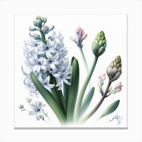 Hyacinths 2 Canvas Print