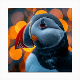 Puffin 6 Canvas Print