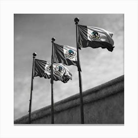 Flags Of Mexico 3 Canvas Print