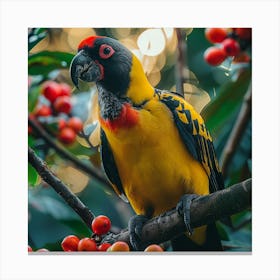 Parrot Perched On A Branch 2 Canvas Print