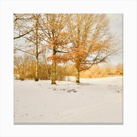 Yellow trees in a snow park Canvas Print
