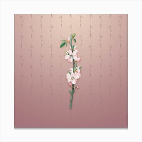 Vintage Peach Flower Botanical on Dusty Pink Pattern n.0069 Canvas Print