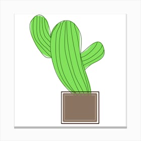 Limey Cactus Canvas Print