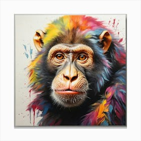 Chimpanzee PINT Canvas Print