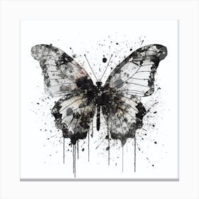 Black White Butterfly Ink Canvas Print