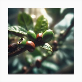 Green Coffee Beans Canvas Print