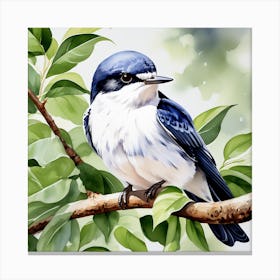 Bird Swallow Canvas Print