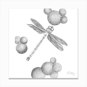 Black And White Dragonfly. 1 Canvas Print