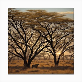 Sunrise In The Savannah Canvas Print